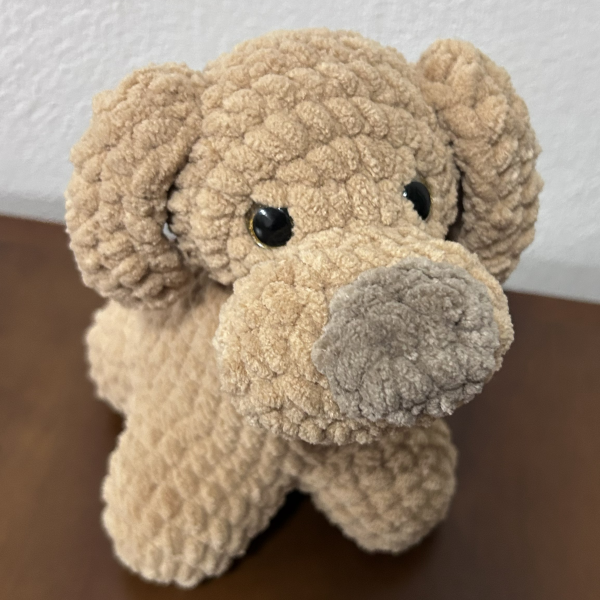 Perrito pachoncito