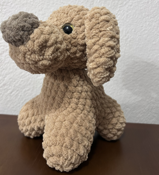 Perrito pachoncito